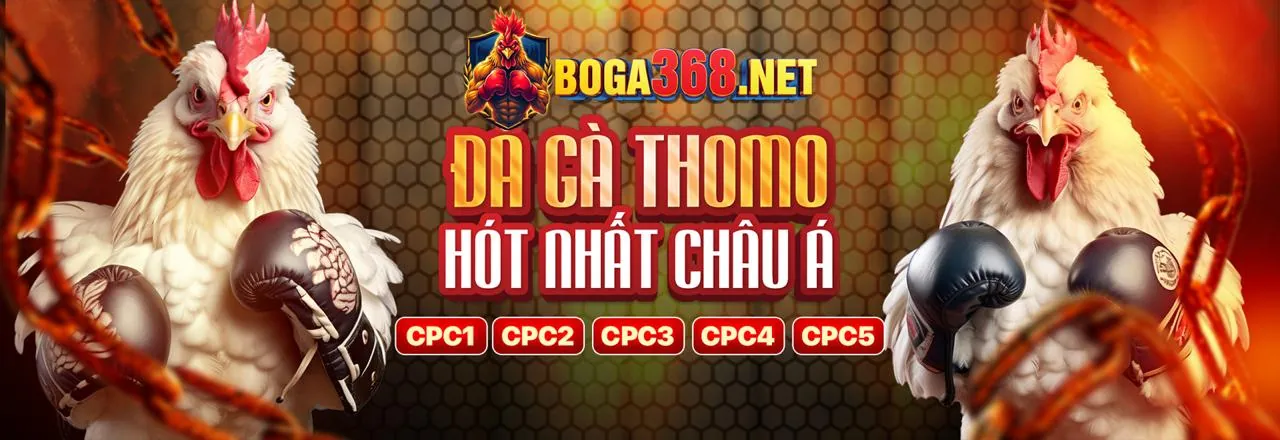 Hình ảnh chính blog W88gate